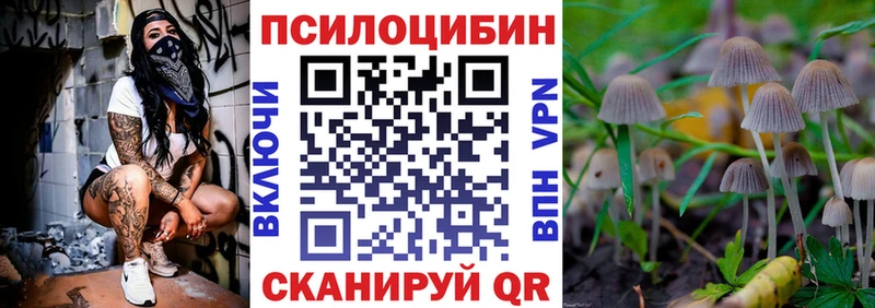 сколько стоит  omg маркетплейс  дарк нет Telegram  Окуловка  Псилоцибиновые грибы Psilocybine cubensis 